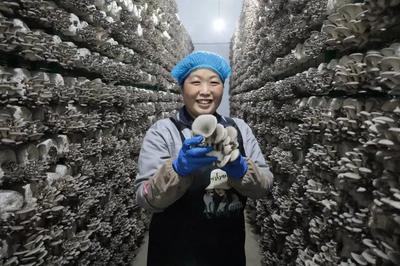 走在前 開新局！闖出綠色循環'大村模式'，引領食用農產品高質量發展